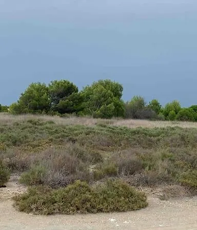Vue Marin Et Canigou Appartamento Le Barcarès
