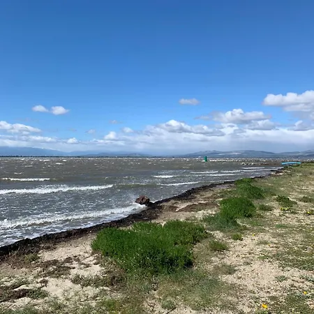 Vue Marin Et Canigou Le Barcarès