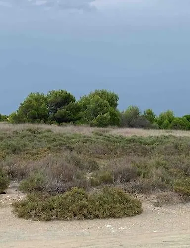Vue Marin Et Canigou Apartmán Le Barcarès