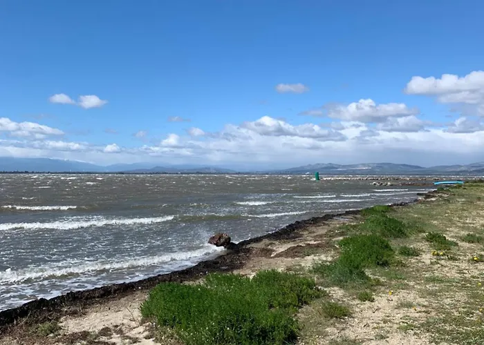 Vue Marin Et Canigou Le Barcarès